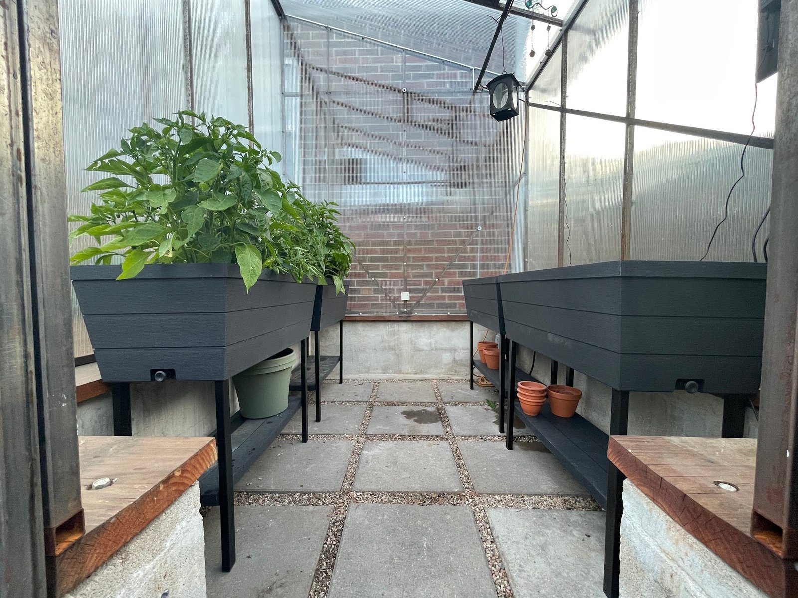 A Greenhouse In Your Own Backyard project image 15